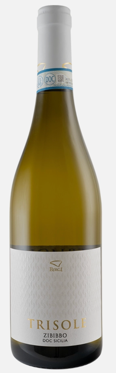 TRISOLE ZIBIBBO 2024