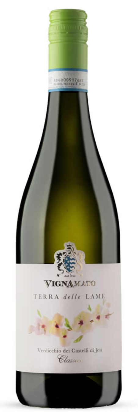 Verdicchio - Terre Delle Lame 2025