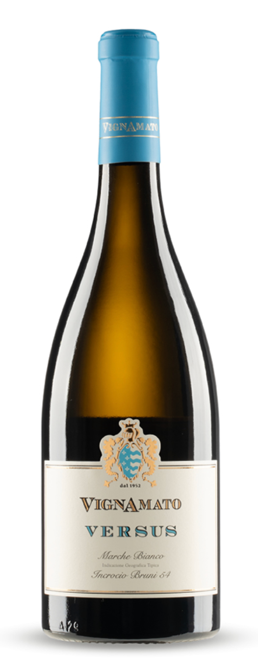 Verdicchio - VERSUS 2025