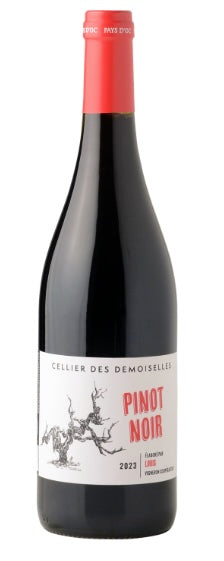 Pinot Noir - CD 2024